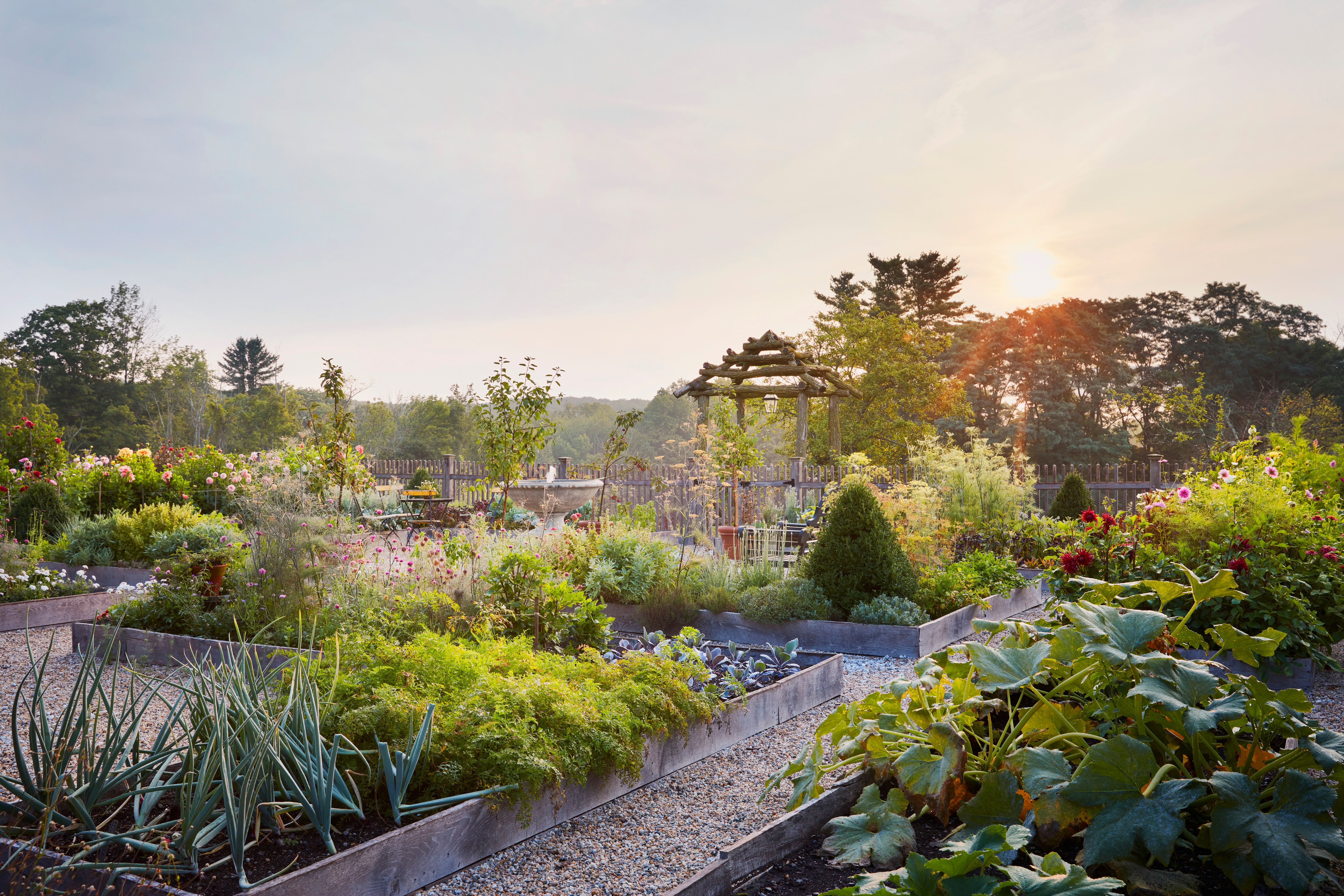 Your September Harvest Guide: From Tomatoes to Apples & Beyond